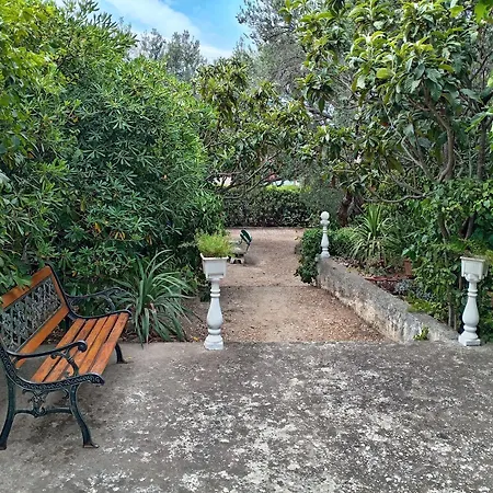 Daniela ماكارسكا