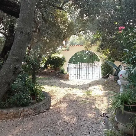 Daniela * ماكارسكا